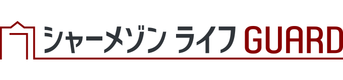 V[]CtGUARD